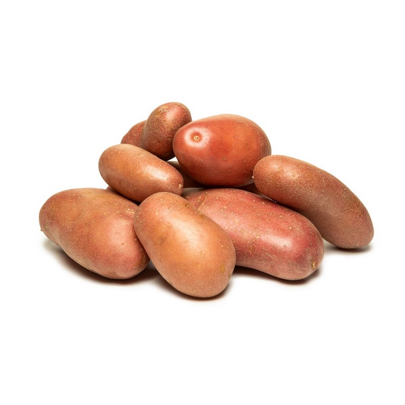 תפוח אדמה Potato