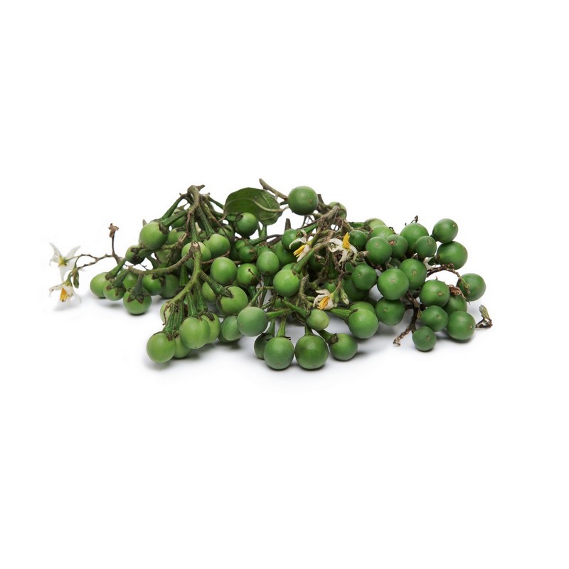 חציל אפונה קטן אריזה Turkey berry