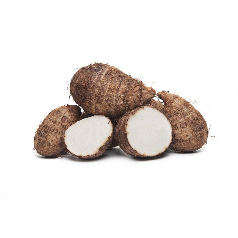 שורש טארו Taro root/ Gabi