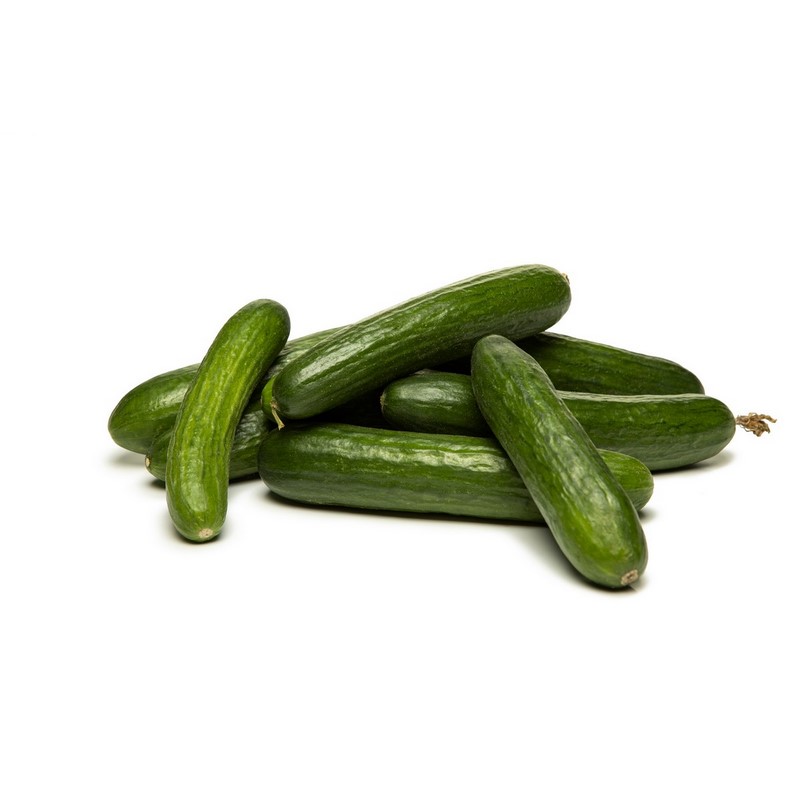 מלפפון Cucumer