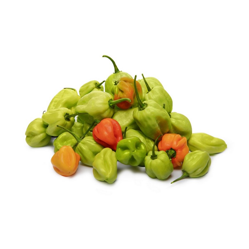 פלפל הבנרו ירוק Green Habanero