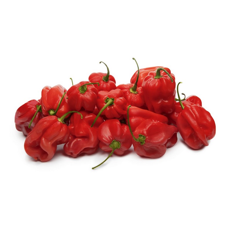 פלפל הבנרו אדום Red Habanero