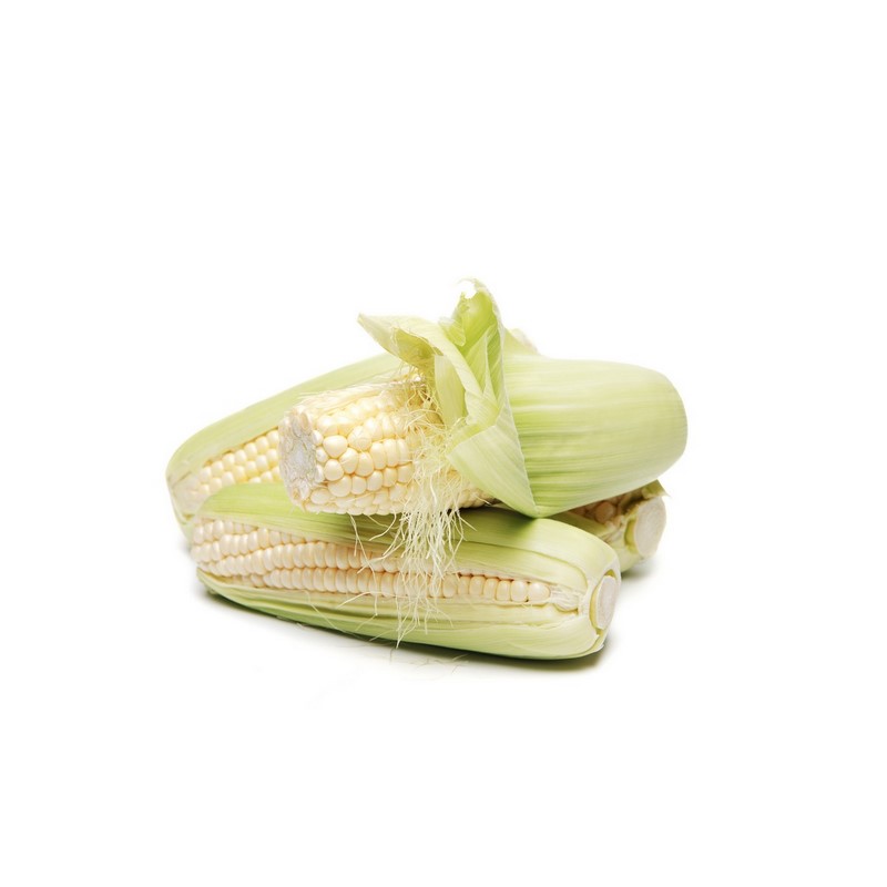 תירס לבן White Corn