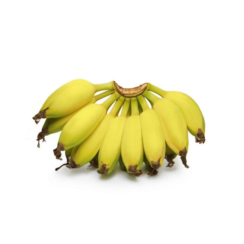 בננה סניוריטה Señorita banana