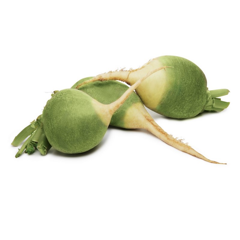 צנון קוריאני ירוק לבן Korean raddish