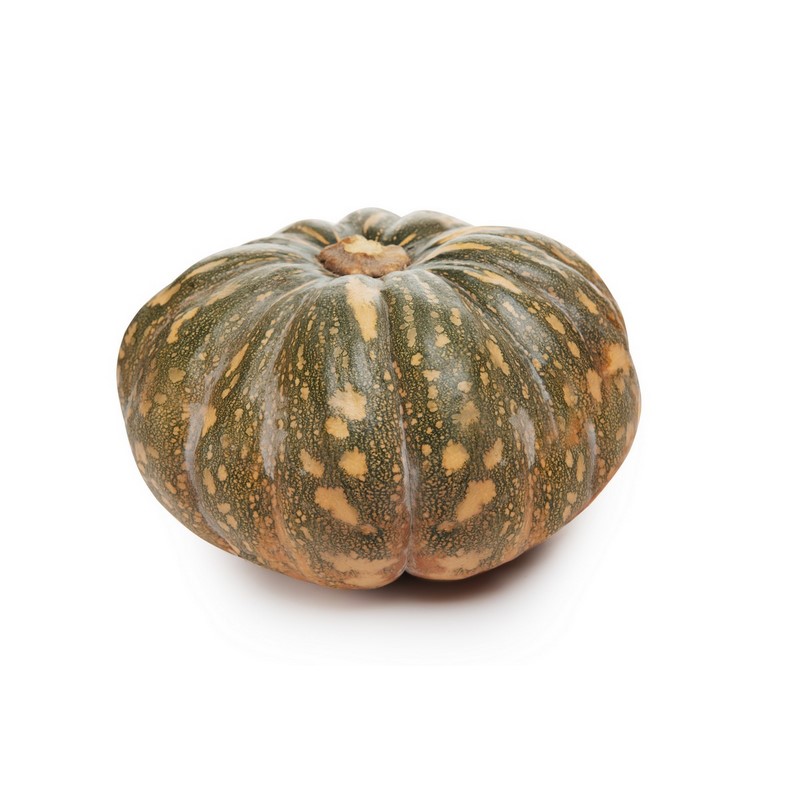 דלעת אגדה Fairytale pumpkin