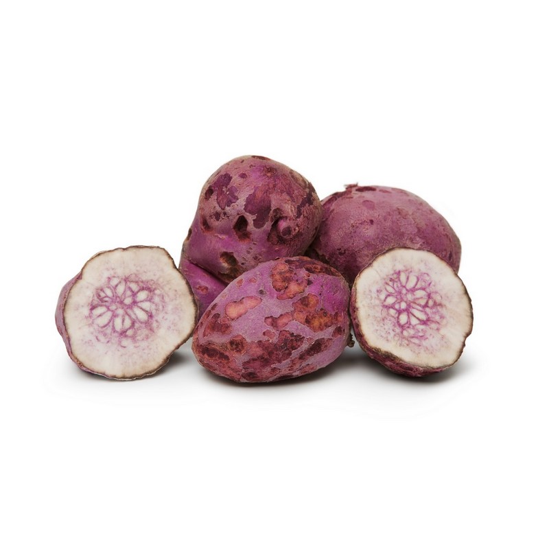 בטטה ערמונים Chesnut Ube