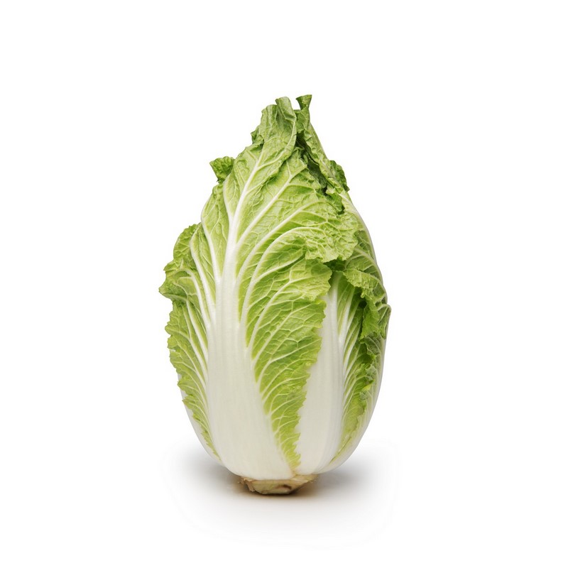 כרוב סיני Napa Cabbage
