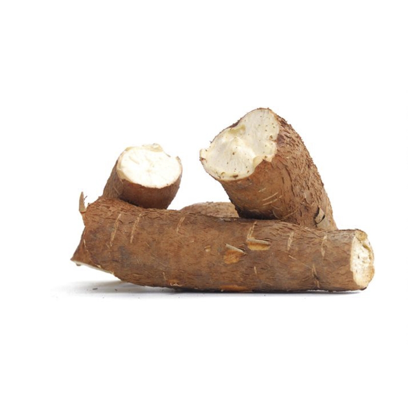 קסבה Cassava